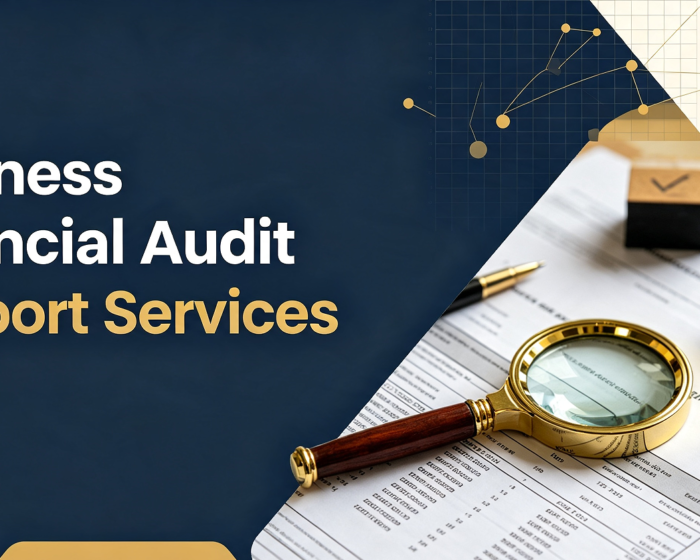 Business Financial Audit Support Services